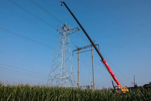 安陽供電公司 傾情服務重點民生工程，以人工裝卸服務答好災后重建電力答卷